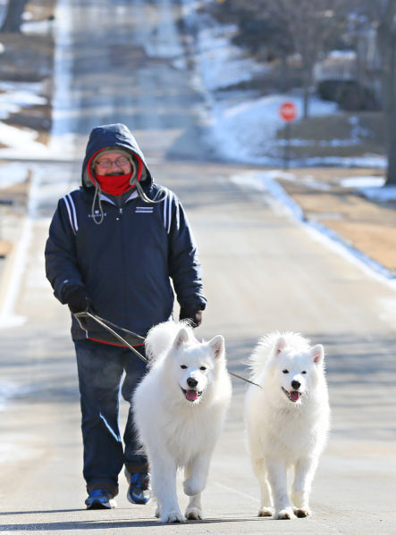 Dog walk
